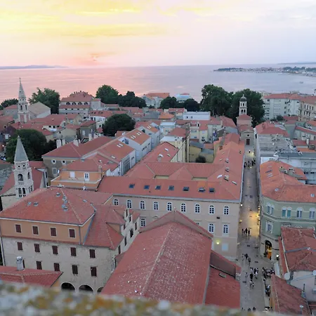 Tommy * Zadar